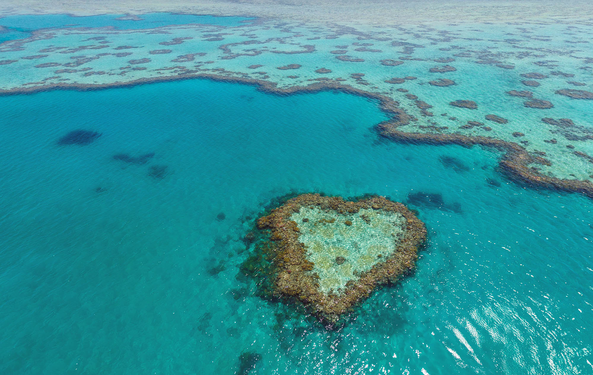 Heart Reef, Great Barrier Reef